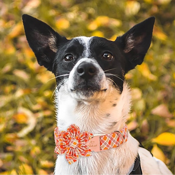 Babole Pet Fall Girl Dog Collar Flower Tie, Orange Striped Plaid Floral Collar - Picture 4 of 9